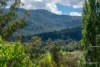 16  Station Road, Warburton, Vic 3799-Image