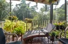 16 Thurles Street, Tully, Qld 4854-Image