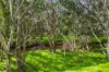 16 Tinacre Court, Glen Iris, WA 6230-Image