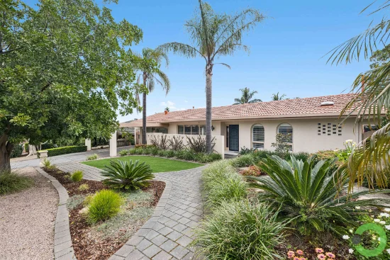 16 Toorak Avenue, Bellevue Heights, SA 5050