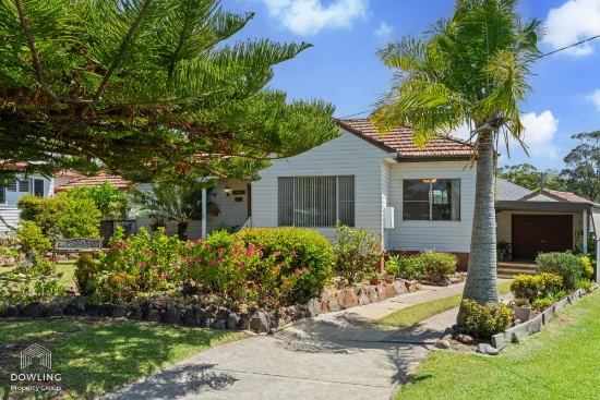 16 Travers Avenue, Mayfield West, NSW 2304