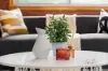 16 Treloar Crescent, Braybrook, Vic 3019-Image