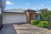 16 Trigg Street, Blair Athol, SA 5084-Image