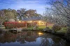 16 Tynan Road, Table Top, NSW 2640-Image