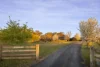 16 Tynan Road, Table Top, NSW 2640-Image