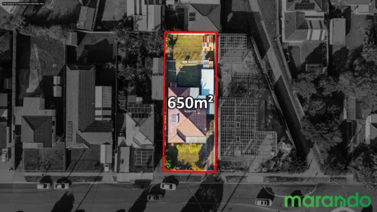 16 Vale Street, Canley Vale, NSW 2166