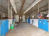 16 Videroni Street, Booval, Qld 4304-Image