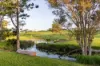 16 Water Lilly Court, Pie Creek, Qld 4570-Image
