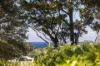 16 Wattlevale Place, Ulladulla, NSW 2539-Image