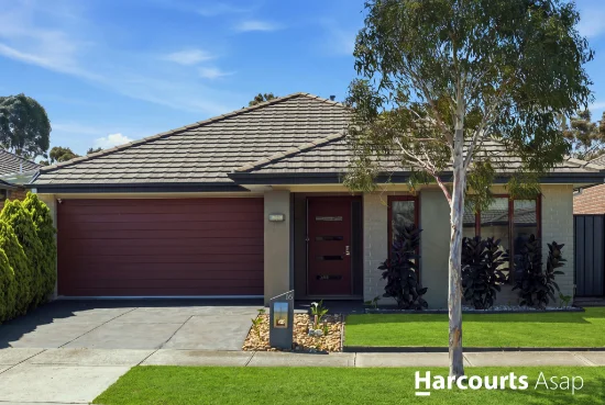16 Westphalian Rise, Clyde North, Vic 3978