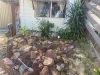 16  Whitfield Street, Mount Hardey, WA 6302-Image