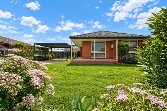 16 Wingarra Drive, Grovedale VIC 3216 - For Rent