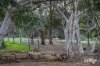 16 Wychwood Close, Bullsbrook, WA 6084-Image