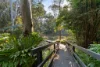 16 Youngs Drive, Doonan, Qld 4562-Image