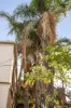 160-162 Punt Road, Prahran, Vic 3181-Image