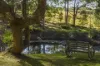 160 Bark Hut Road, Woolgoolga, NSW 2456-Image