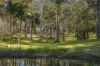160 Bark Hut Road, Woolgoolga, NSW 2456-Image