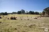 160 Bryants Road, Linton, Vic 3360-Image