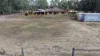 160 Cunningham Drive, Oakford, WA 6121-Image