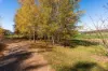 160 Kearl Road, Orange, NSW 2800-Image