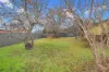 160 Maybe Street, Bombala, NSW 2632-Image
