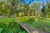 160 Piggabeen Road, Currumbin Valley, Qld 4223-Image