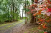 160 Worlley Road, Hoddles Creek, Vic 3139-Image
