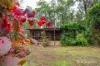 160 Worlley Road, Hoddles Creek, Vic 3139-Image