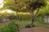161 Gloster Street, Subiaco, WA 6008-Image