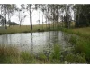161 Jensen Road, Lower Wonga, Qld 4570-Image