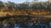 161 Myrtle Creek Road, Axe Creek, Vic 3551-Image