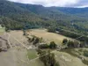 161 Myrtle Creek Road, Liffey, Tas 7301