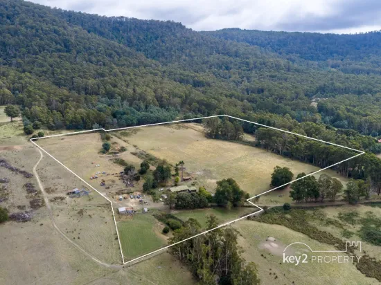 161 Myrtle Creek Road, Liffey, Tas 7301