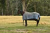 161 Myrtle Creek Road, Liffey, Tas 7301-Image