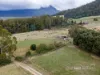 161 Myrtle Creek Road, Liffey, Tas 7301-Image