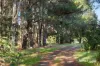 161 Pipers Creek Road, Kyneton, Vic 3444-Image