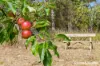 161 Sandfly Road, Margate, Tas 7054-Image
