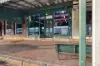 161 Swan Street, Morpeth, NSW 2321-Image