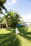 162 Bayswater Road, Currajong, Qld 4812-Image