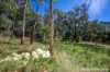 162 Fitzgerald Road, Bullengarook, Vic 3437-Image
