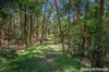 162 Fitzgerald Road, Bullengarook, Vic 3437-Image