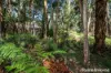 162 Fitzgerald Road, Bullengarook, Vic 3437-Image
