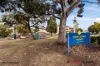 162 Frederick Street, Rockdale, NSW 2216-Image