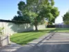 162 Nicholson Street, Bairnsdale, Vic 3875-Image