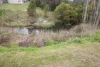 163 Logan Street, Tenterfield, NSW 2372-Image