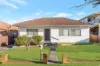 163 Neville Street, Smithfield, NSW 2164