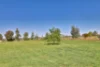 163 Pooncarie Road, Wentworth, NSW 2648-Image