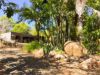 163 Rafting Ground Road, Agnes Water QLD 4677-Image