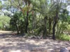 163 Rafting Ground Road, Agnes Water QLD 4677-Image