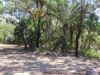 163 Rafting Ground Road, Agnes Water QLD 4677-Image